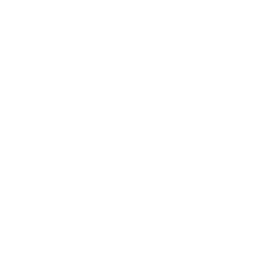 TikTok Icon